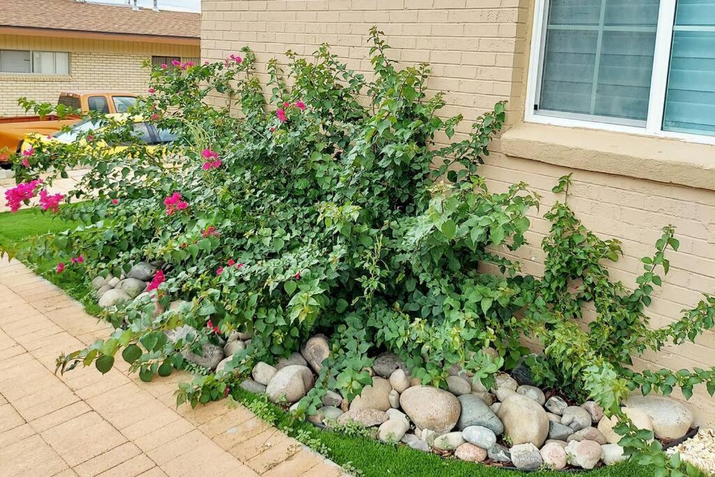 Vila My Cozy Duplex A In The Heart Of West Side El Paso Exteriér fotografie